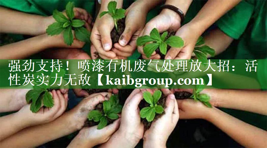 强劲支持！喷漆有机废气处理放大招：活性炭实力无敌