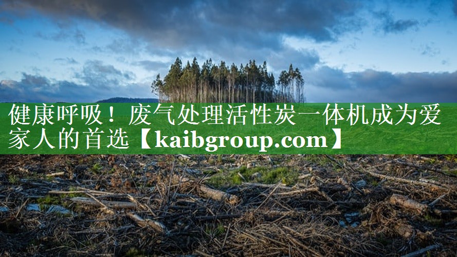 健康呼吸！废气处理活性炭一体机成为爱家人的首选