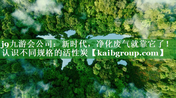 j9九游会公司：新时代，净化废气就靠它了！认识不同规格的活性炭