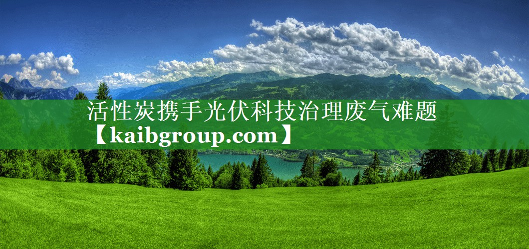 活性炭携手光伏科技治理废气难题