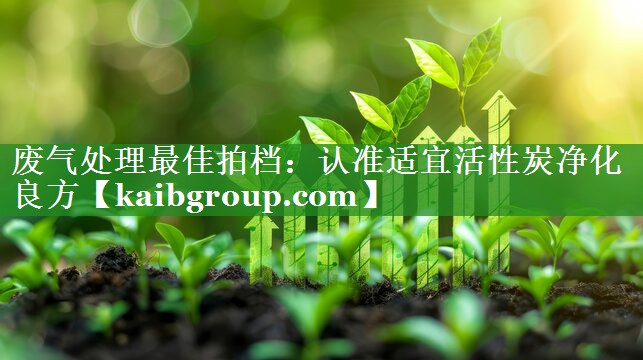 废气处理最佳拍档：认准适宜活性炭净化良方