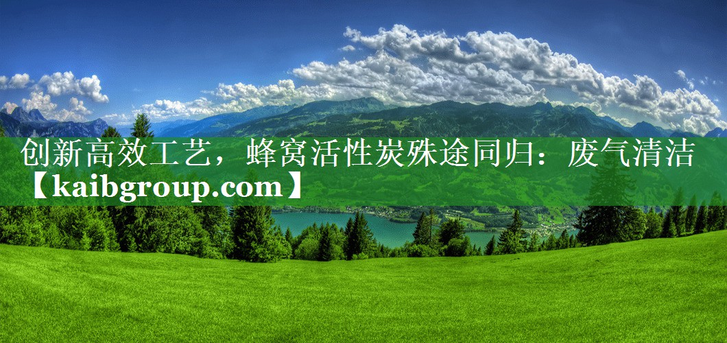 创新高效工艺，蜂窝活性炭殊途同归：废气清洁