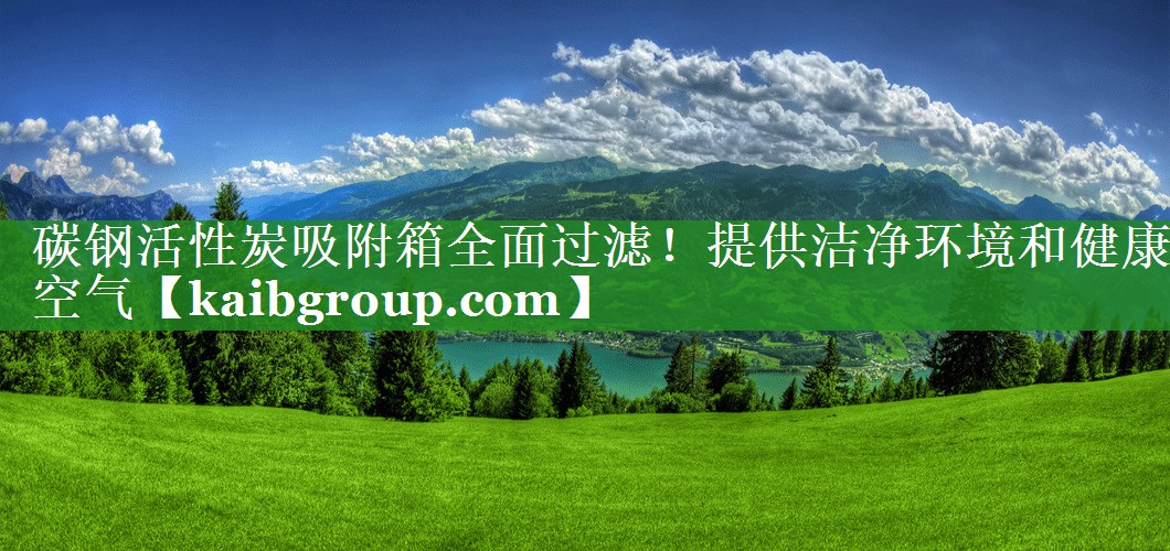 碳钢活性炭吸附箱全面过滤！提供洁净环境和健康空气