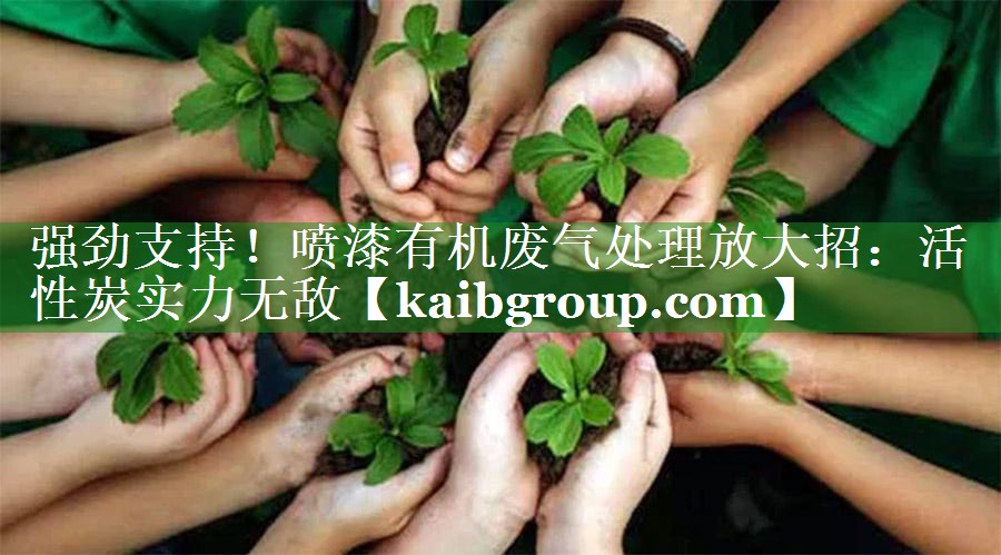 强劲支持！喷漆有机废气处理放大招：活性炭实力无敌