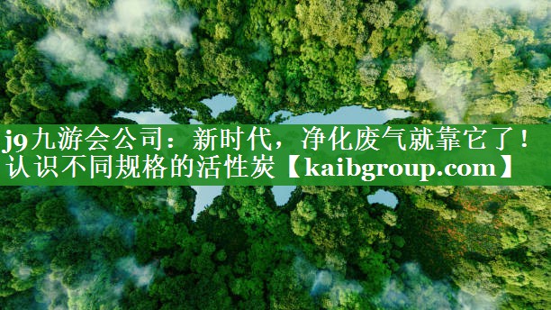 新时代，净化废气就靠它了！认识不同规格的活性炭
