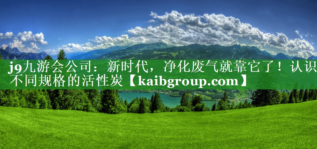 新时代，净化废气就靠它了！认识不同规格的活性炭