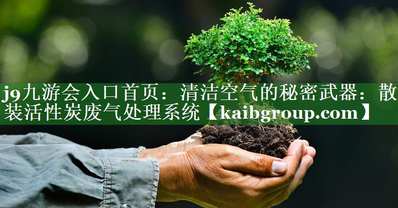 清洁空气的秘密武器：散装活性炭废气处理系统