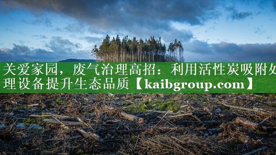 关爱家园，废气治理高招：利用活性炭吸附处理设备提升生态品质