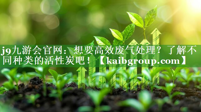 想要高效废气处理？了解不同种类的活性炭吧！