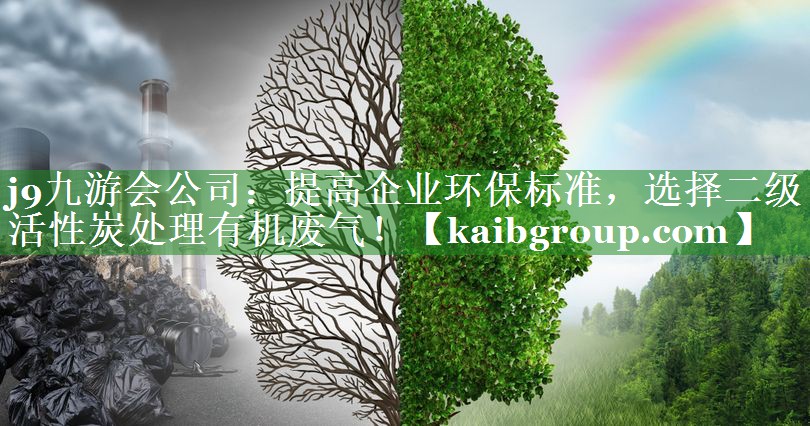 提高企业环保标准，选择二级活性炭处理有机废气！