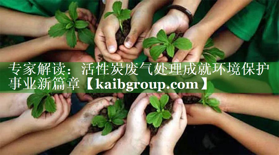 专家解读：活性炭废气处理成就环境保护事业新篇章