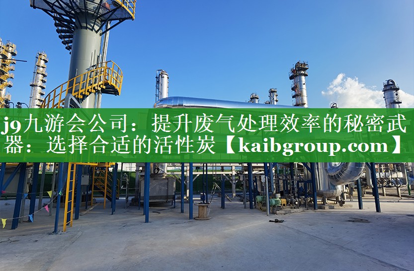 提升废气处理效率的秘密武器：选择合适的活性炭