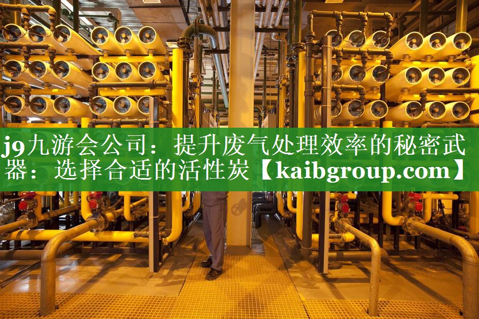 提升废气处理效率的秘密武器：选择合适的活性炭