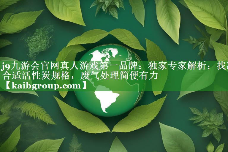 独家专家解析：找准合适活性炭规格，废气处理简便有力