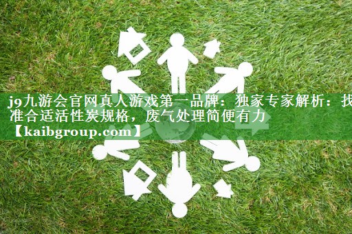 独家专家解析：找准合适活性炭规格，废气处理简便有力