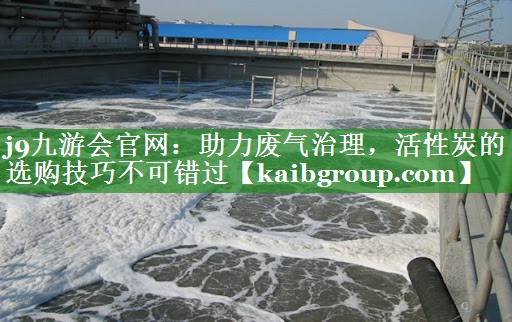助力废气治理，活性炭的选购技巧不可错过