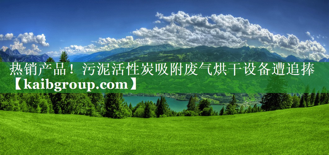 热销产品！污泥活性炭吸附废气烘干设备遭追捧