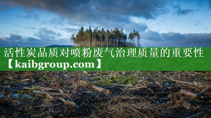 活性炭品质对喷粉废气治理质量的重要性