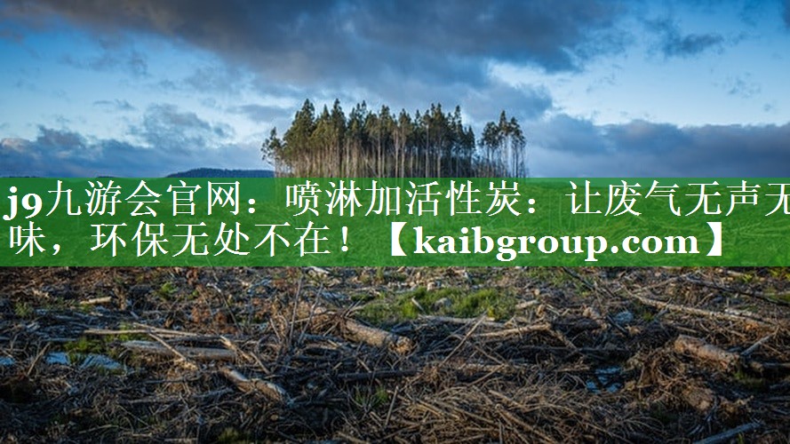 喷淋加活性炭：让废气无声无味，环保无处不在！