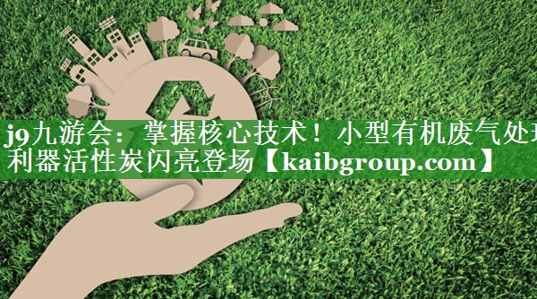 掌握核心技术！小型有机废气处理利器活性炭闪亮登场